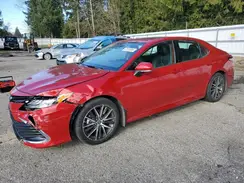 4T1F31AK7RU065811 2024 TOYOTA CAMRY