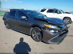 4T1F31AK7RU626430 2024 TOYOTA CAMRY