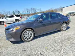 4T1F31AK8LU012588 2020 TOYOTA CAMRY