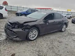 4T1F31AK8LU526666 2020 TOYOTA CAMRY