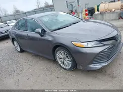 4T1F31AK8LU528532 2020 TOYOTA CAMRY