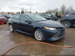 4T1F31AK8LU531365 2020 TOYOTA CAMRY