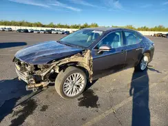 4T1F31AK8LU545525 2020 TOYOTA CAMRY