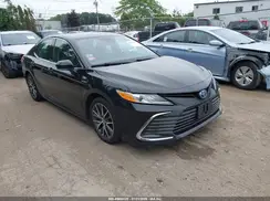 4T1F31AK8MU546630 2021 TOYOTA CAMRY