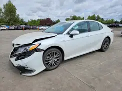4T1F31AK8MU553786 2021 TOYOTA CAMRY