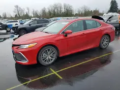 4T1F31AK8PU056161 2023 TOYOTA CAMRY