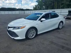 4T1F31AK9LU009344 2020 TOYOTA CAMRY