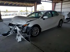 4T1F31AK9LU009487 2020 TOYOTA CAMRY