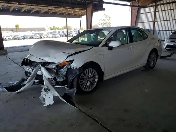 4T1F31AK9LU009487 2020 TOYOTA CAMRY - Image 1