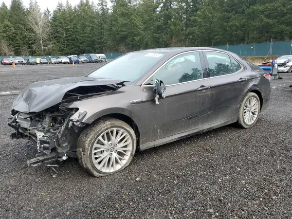 4T1F31AK9LU519788 2020 TOYOTA CAMRY - Image 1