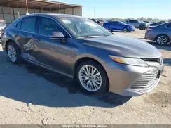 4T1F31AK9LU521007 2020 TOYOTA CAMRY