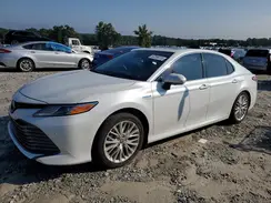 4T1F31AK9LU541175 2020 TOYOTA CAMRY