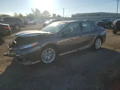 4T1F31AK9LU545811 2020 TOYOTA CAMRY