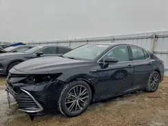 4T1F31AK9MU563923 2021 TOYOTA CAMRY