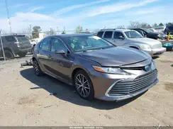 4T1F31AK9MU569432 2021 TOYOTA CAMRY