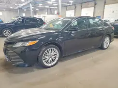 4T1F31AKXLU012334 2020 TOYOTA CAMRY