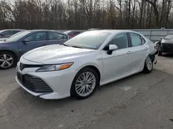 4T1F31AKXLU530105 2020 TOYOTA CAMRY