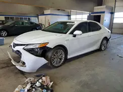 4T1F31AKXLU536731 2020 TOYOTA CAMRY
