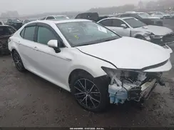 4T1F31AKXMU562764 2021 TOYOTA CAMRY