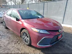 4T1F31AKXMU566555 2021 TOYOTA CAMRY