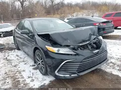 4T1F31AKXPU609909 2023 TOYOTA CAMRY