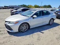 4T1FZ1AK3LU036117 2020 TOYOTA CAMRY