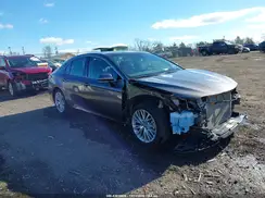 4T1FZ1AK5LU035423 2020 TOYOTA CAMRY