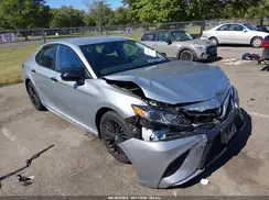 4T1G11AK0LU321711 2020 TOYOTA CAMRY