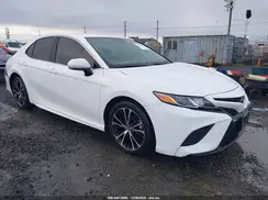 4T1G11AK0LU365871 2020 TOYOTA CAMRY