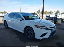 4T1G11AK0LU391869 2020 TOYOTA CAMRY