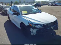 4T1G11AK0LU401199 2020 TOYOTA CAMRY