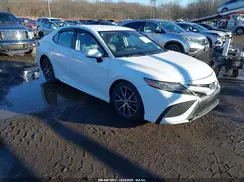4T1G11AK0MU472176 2021 TOYOTA CAMRY