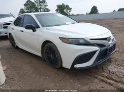 4T1G11AK0MU496820 2021 TOYOTA CAMRY