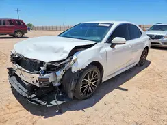 4T1G11AK0MU526219 2021 TOYOTA CAMRY