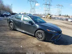 4T1G11AK0MU553162 2021 TOYOTA CAMRY