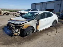 4T1G11AK0PU110191 2023 TOYOTA CAMRY