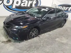 4T1G11AK0PU799486 2023 TOYOTA CAMRY