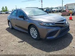 4T1G11AK0RU207331 2024 TOYOTA CAMRY