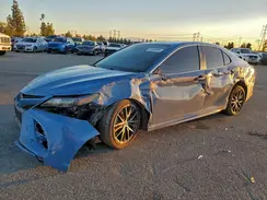 4T1G11AK0RU216532 2024 TOYOTA CAMRY