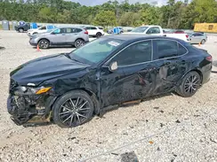 4T1G11AK0RU229961 2024 TOYOTA CAMRY