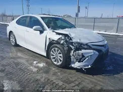 4T1G11AK0RU243679 2024 TOYOTA CAMRY