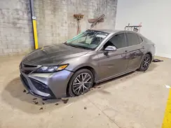4T1G11AK0RU841108 2024 TOYOTA CAMRY