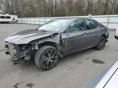 4T1G11AK0RU844400 2024 TOYOTA CAMRY
