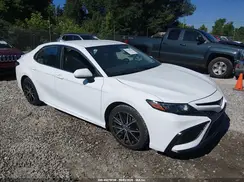 4T1G11AK0RU865943 2024 TOYOTA CAMRY