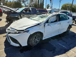 4T1G11AK0RU888302 2024 TOYOTA CAMRY