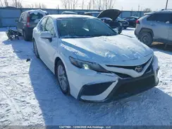 4T1G11AK0RU902831 2024 TOYOTA CAMRY