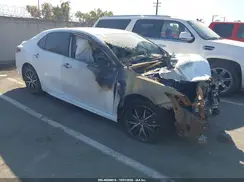 4T1G11AK0RU909455 2024 TOYOTA CAMRY