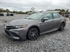 4T1G11AK0RU919371 2024 TOYOTA CAMRY