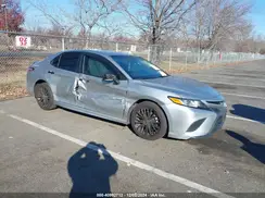 4T1G11AK1LU363689 2020 TOYOTA CAMRY