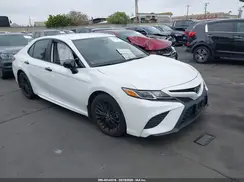 4T1G11AK1LU381982 2020 TOYOTA CAMRY